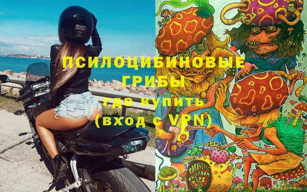 PSILOCYBIN Мегион