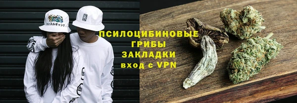 PSILOCYBIN Мегион