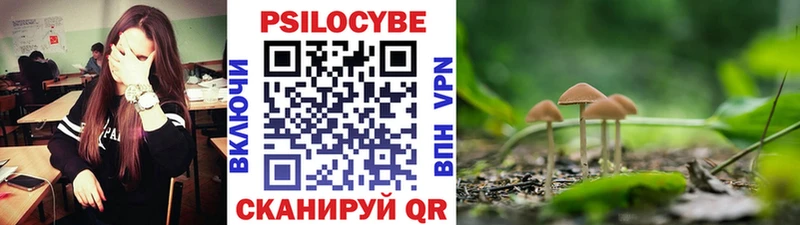 хочу наркоту  мега зеркало  Галлюциногенные грибы GOLDEN TEACHER  Домодедово 